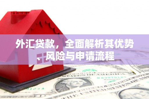 邱县外汇贷款，全面解析其优势、风险与申请流程