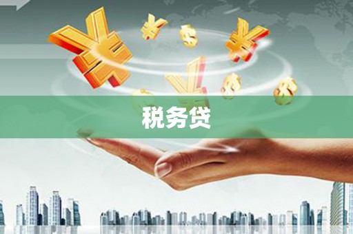 邱县税务贷