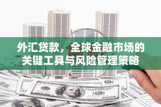 邱县外汇贷款，全球金融市场的关键工具与风险管理策略