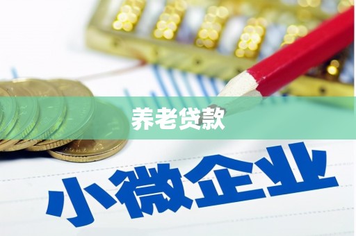 邱县养老贷款
