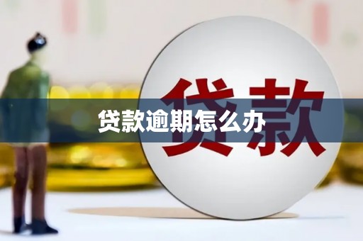 邱县贷款逾期怎么办
