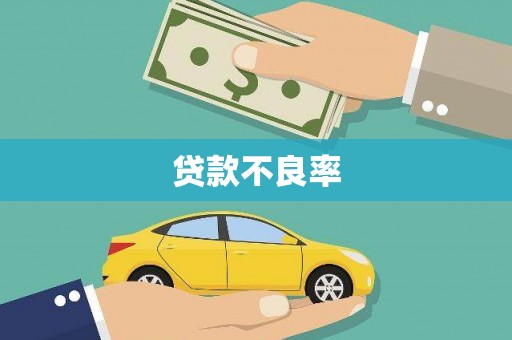 邱县贷款不良率