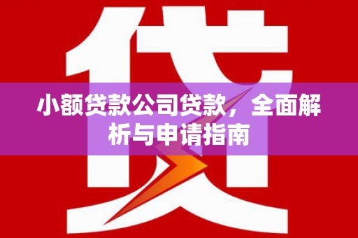 邱县小额贷款公司贷款，全面解析与申请指南