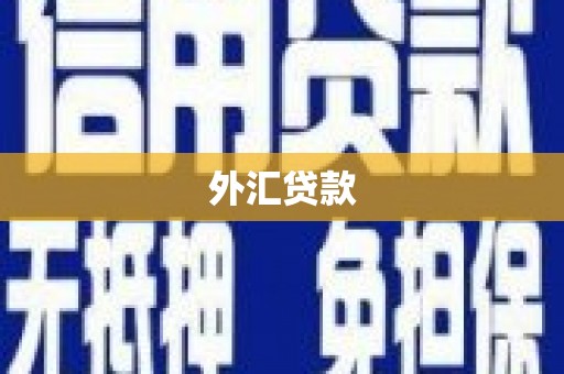邱县外汇贷款