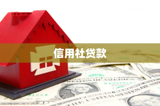 邱县信用社贷款