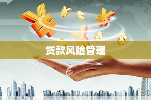 邱县贷款风险管理
