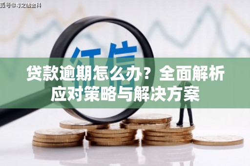 邱县贷款逾期怎么办？全面解析应对策略与解决方案