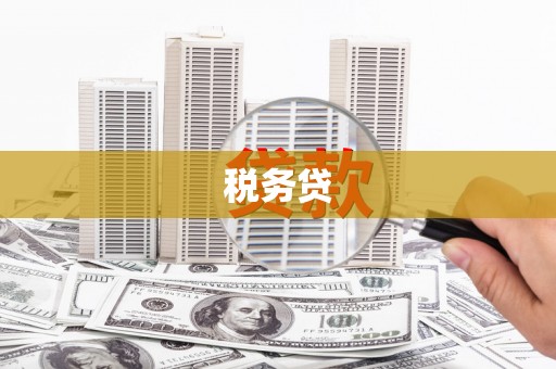 邱县税务贷