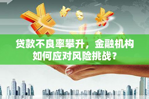 邱县贷款不良率攀升，金融机构如何应对风险挑战？