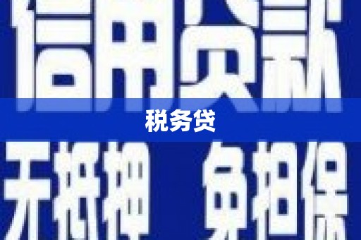邱县税务贷