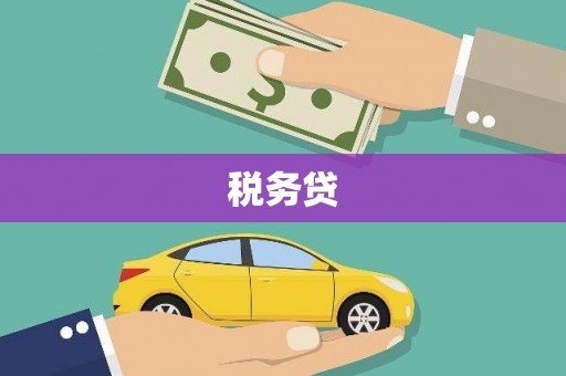 邱县税务贷