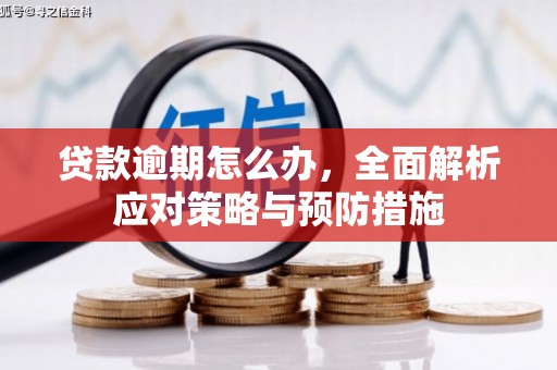 邱县贷款逾期怎么办，全面解析应对策略与预防措施