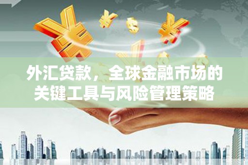 邱县外汇贷款，全球金融市场的关键工具与风险管理策略