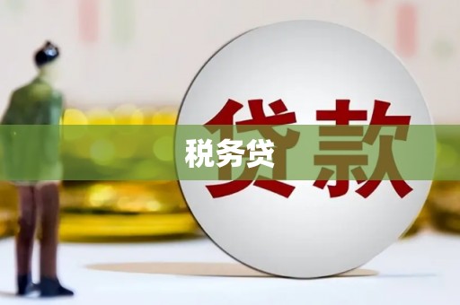 邱县税务贷
