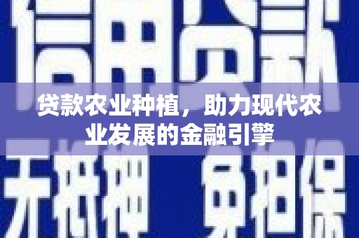 邱县贷款农业种植，助力现代农业发展的金融引擎