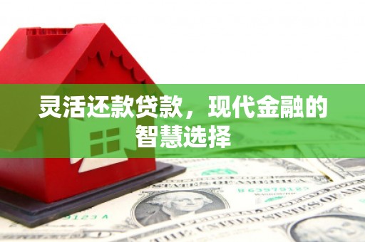 邱县灵活还款贷款，现代金融的智慧选择