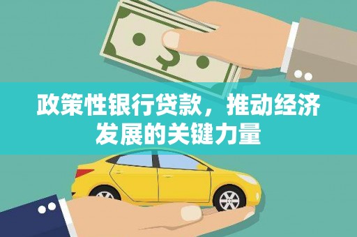 邱县政策性银行贷款，推动经济发展的关键力量