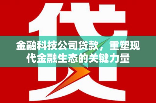 邱县金融科技公司贷款，重塑现代金融生态的关键力量