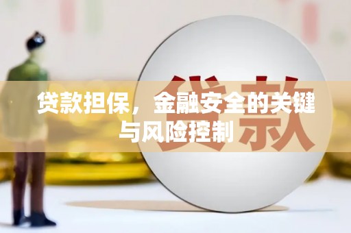 邱县贷款担保，金融安全的关键与风险控制