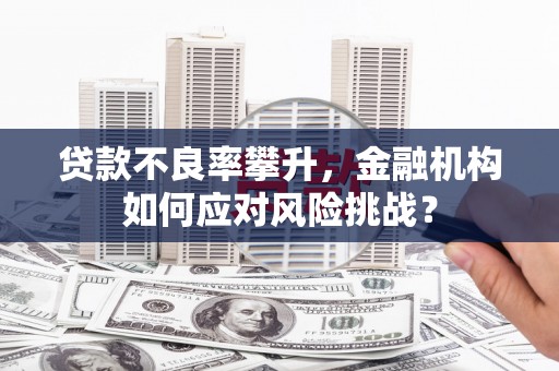 邱县贷款不良率攀升，金融机构如何应对风险挑战？