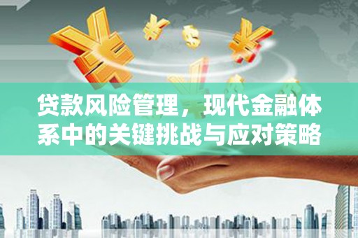 邱县贷款风险管理，现代金融体系中的关键挑战与应对策略