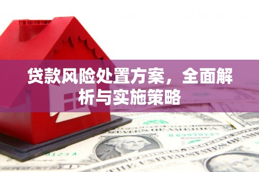 邱县贷款风险处置方案，全面解析与实施策略